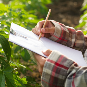 Subvenciones Estatales para Agricultores en España: Guía Completa